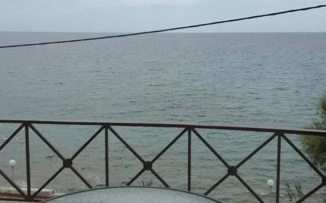 Grand Blue