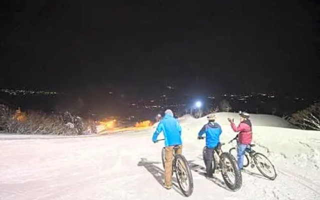 Togari Onsen Alpine Plaza - Vacation STAY 02277v