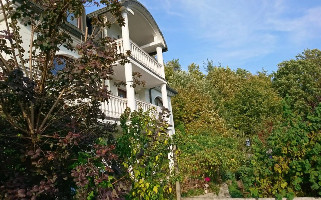 Apartma Dolomiti