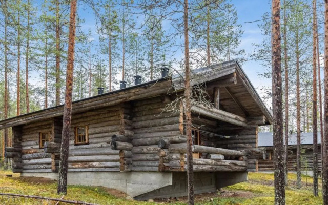 YLLäSNäKYY 7 / KARKELO