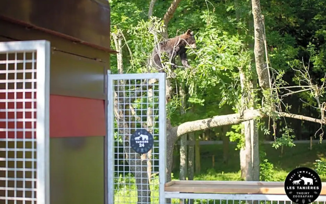 Les Tanières du ZooSafari de Thoiry