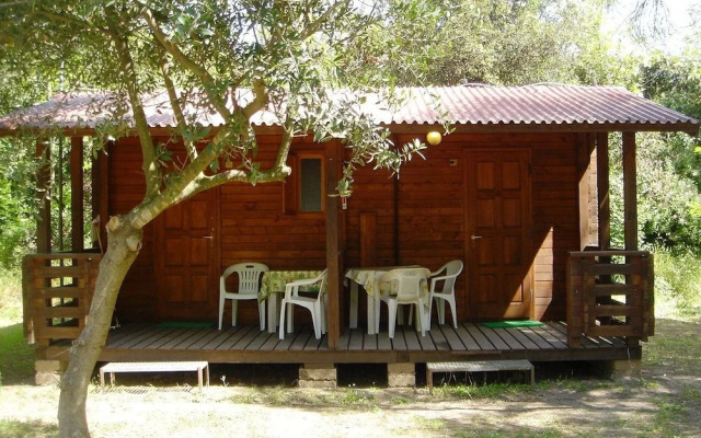 Camping Internazionale Di Castelfusano