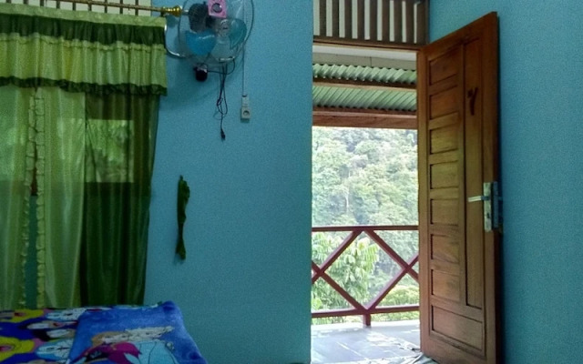 Green Forest Tangkahan
