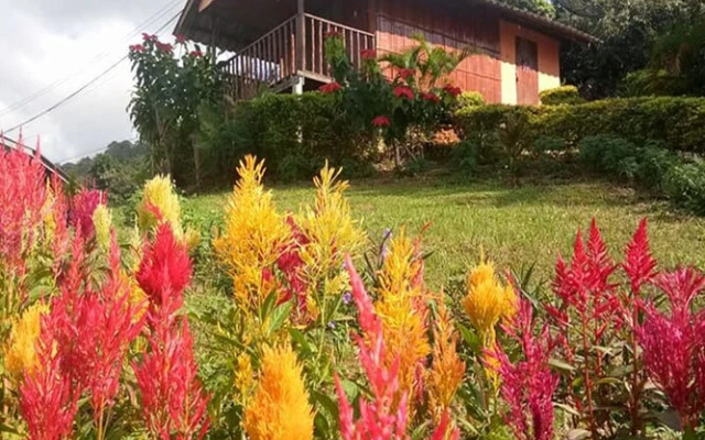Phucheefah Homestay