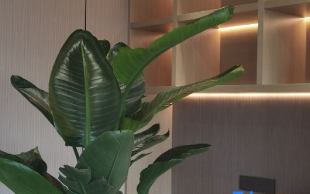 Shaoxing Qianxun Hotel
