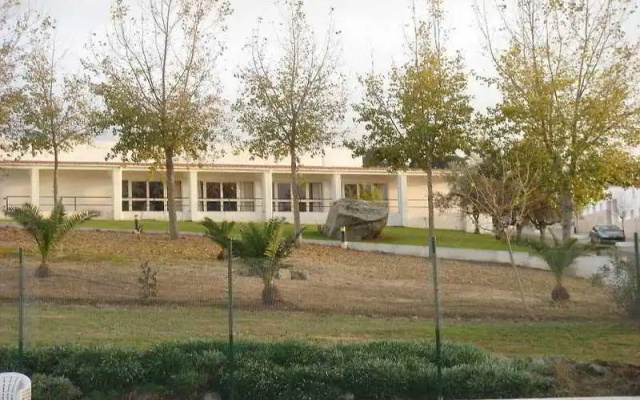 Palma Monforte