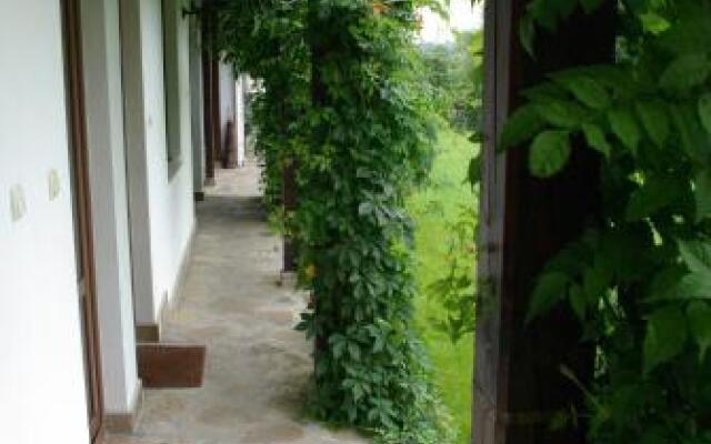 Отель Guest House Dan Kolov Болгария, Габрово - отзывы, цены и фото номеров - забронировать отель Guest House Dan Kolov онлайн вид на фасад