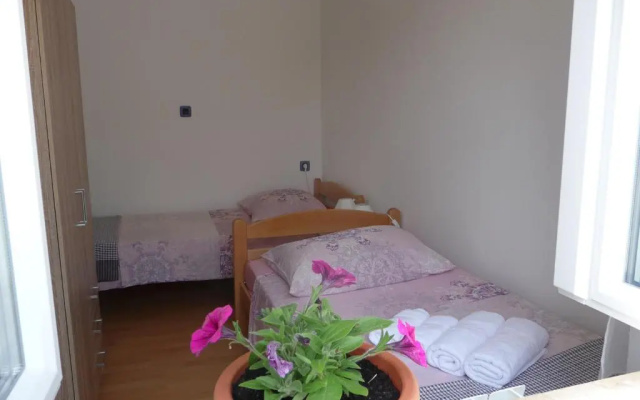 Apartments Noris