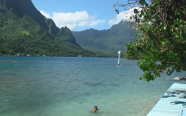 Les Tipaniers Iti Bungalows