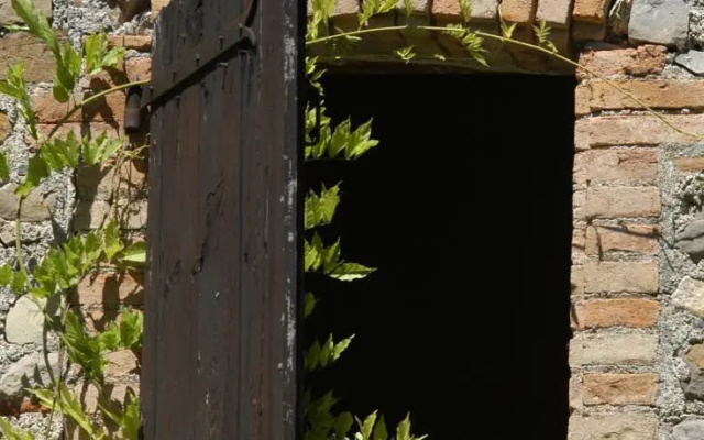 La Bruguière