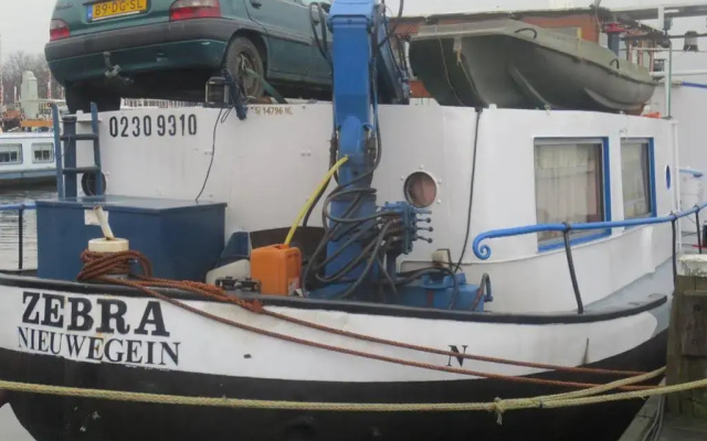 Botel Zebra