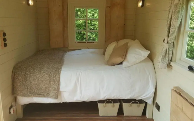Wilderness B&B