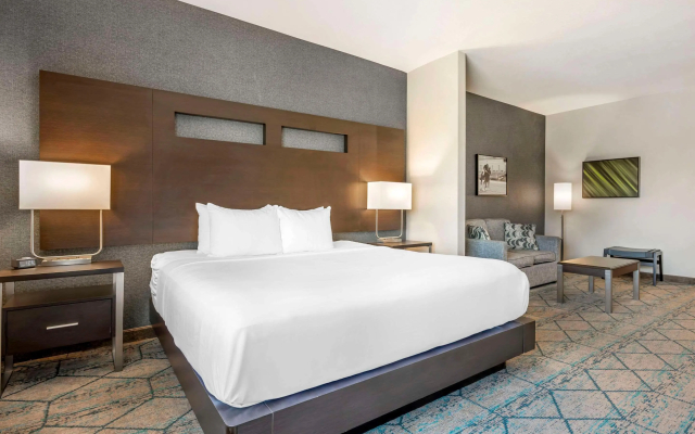 Comfort Inn & Suites Clarksville - Louisville North