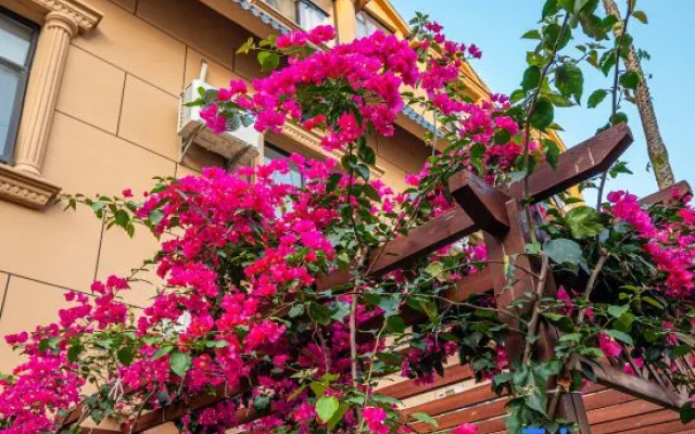 Yintan Zeyinju Hotel