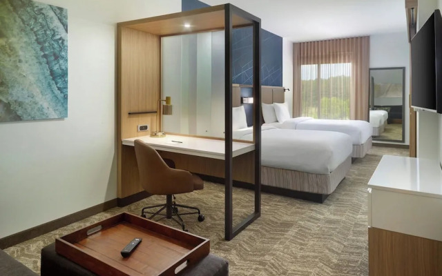 Springhill Suites By Marriott Ellijay