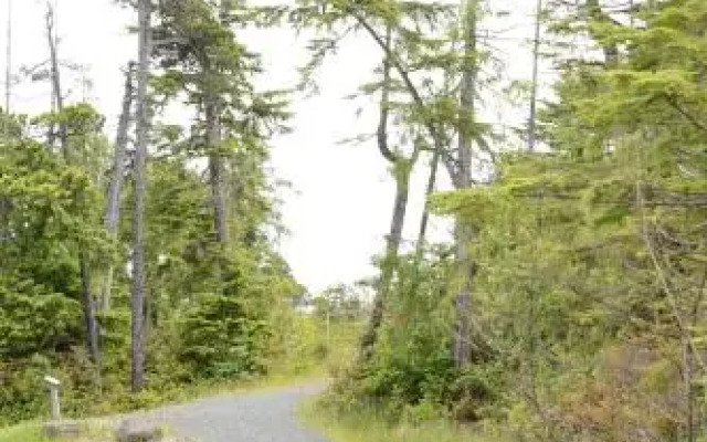 Pacific Rim Guest Lodge - Adult Only, Pet-Free