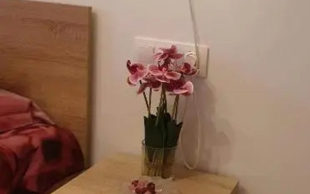 Apartmant Melinda M16