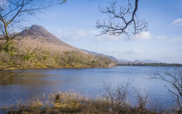 No 4 Old Manor Ballynahinch