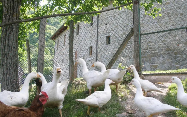 Agriturismo Podere Fiume