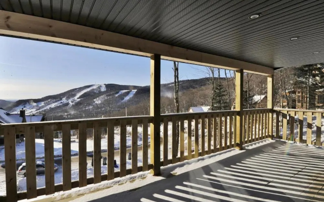 Chalets Alpins - 42 Chemin Blanc