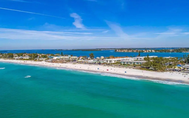 Anna Maria Island Beach Palms 7A
