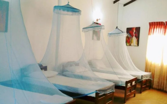 Sachal Mir Bed&Breakfast