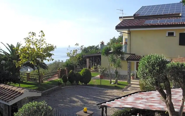 B&B LEucalipto