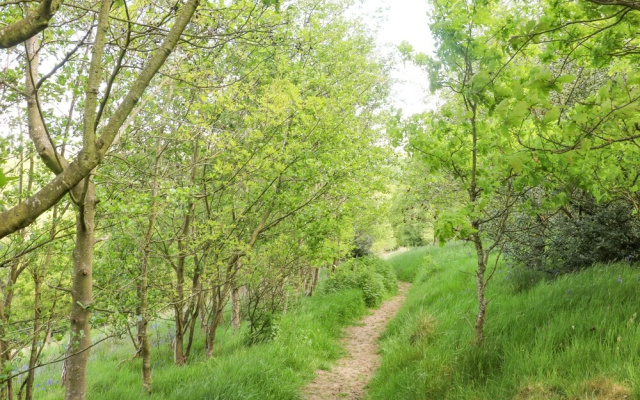 Rowan Bank, Jacobs Wood