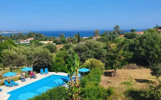 Anemona studio 1
