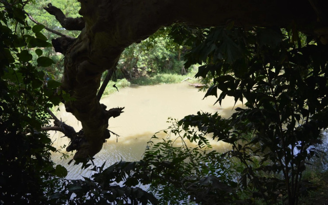 Kumbuk Tree House