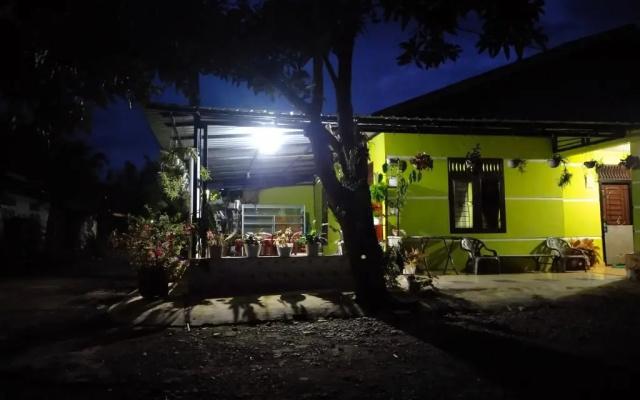 Jungle View Homestay Bukit Lawang