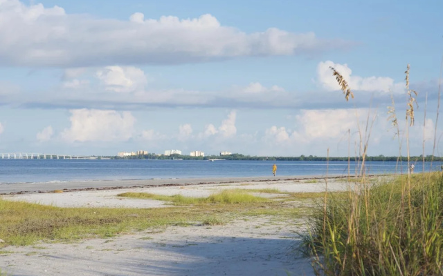 Flamingo Bay