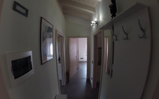 La bella corte
