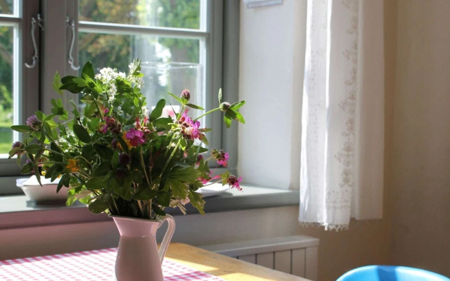 country Apartment in Steffenshagen With Garden