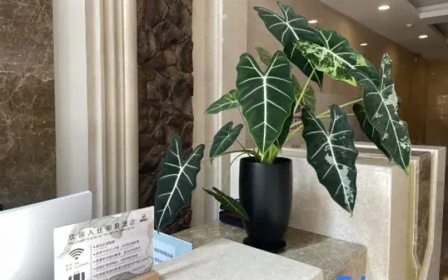YuJing Hotel