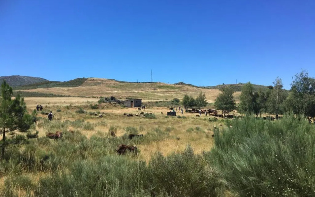 Casas do Soito