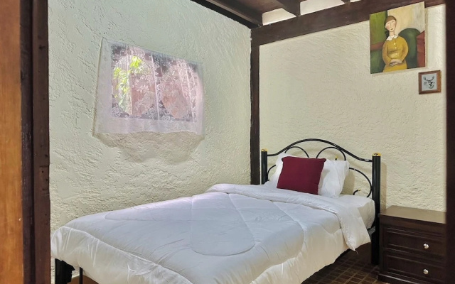 Cozy nest CNX