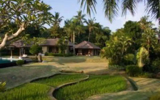Lotus Residence