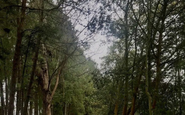 Glamping Sumercé