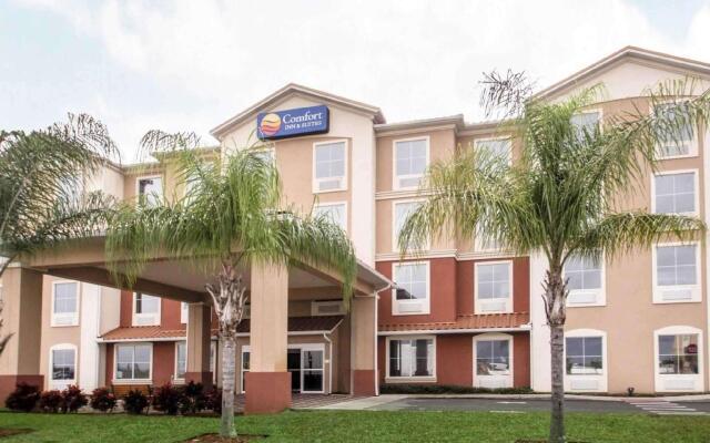 Comfort Inn Suites Maingate South In Four Corners United States
