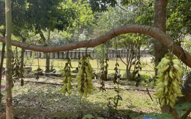 Nankunshan Mountain Farmhouse