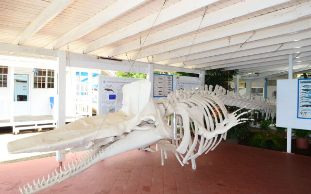 The Anchorage in Massacre, Dominica from 180$, photos, reviews - zenhotels.com hotel front