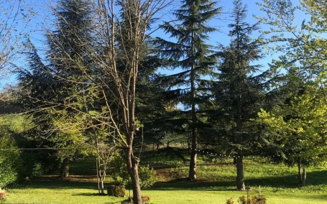 La Borra