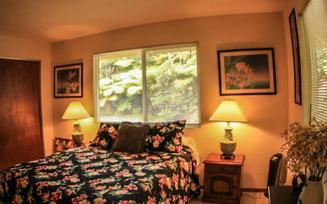 Cymbidium Cottage