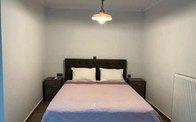 Deluxe furnished apartment (In the city center)