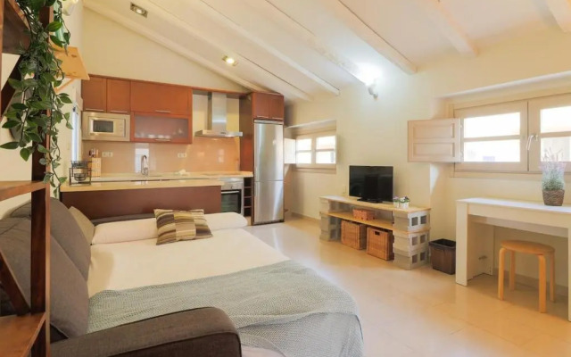 C28 - Mitjana Luminous Penthouse