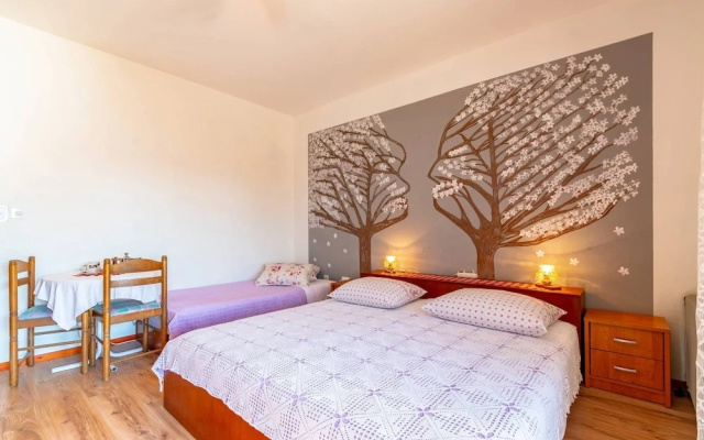 Sea View Apartment With Terrase Vl