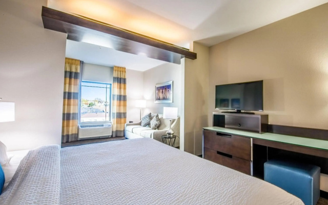 Fairfield Inn & Suites by Marriott Denver Downtown