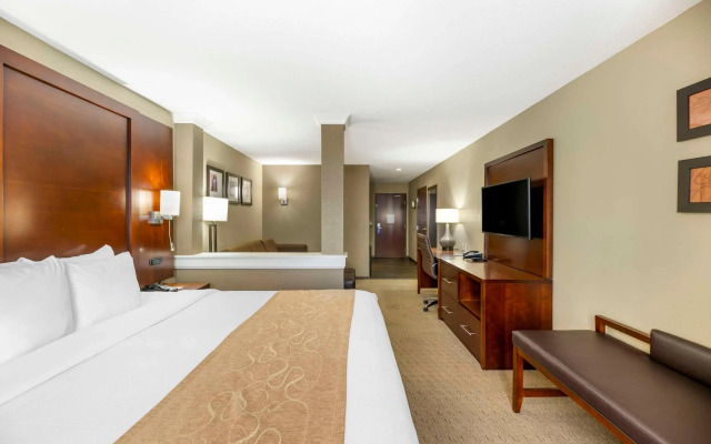 Comfort Suites Carlsbad