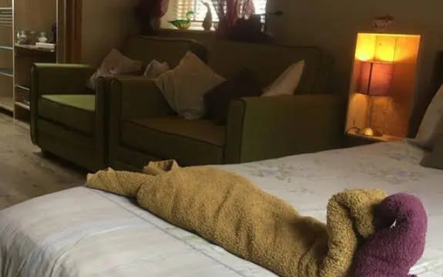Devons Duck n Dane B&B